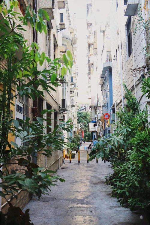 桂庙新村爆料案件最新进展,疑点重重，警方深入调查中